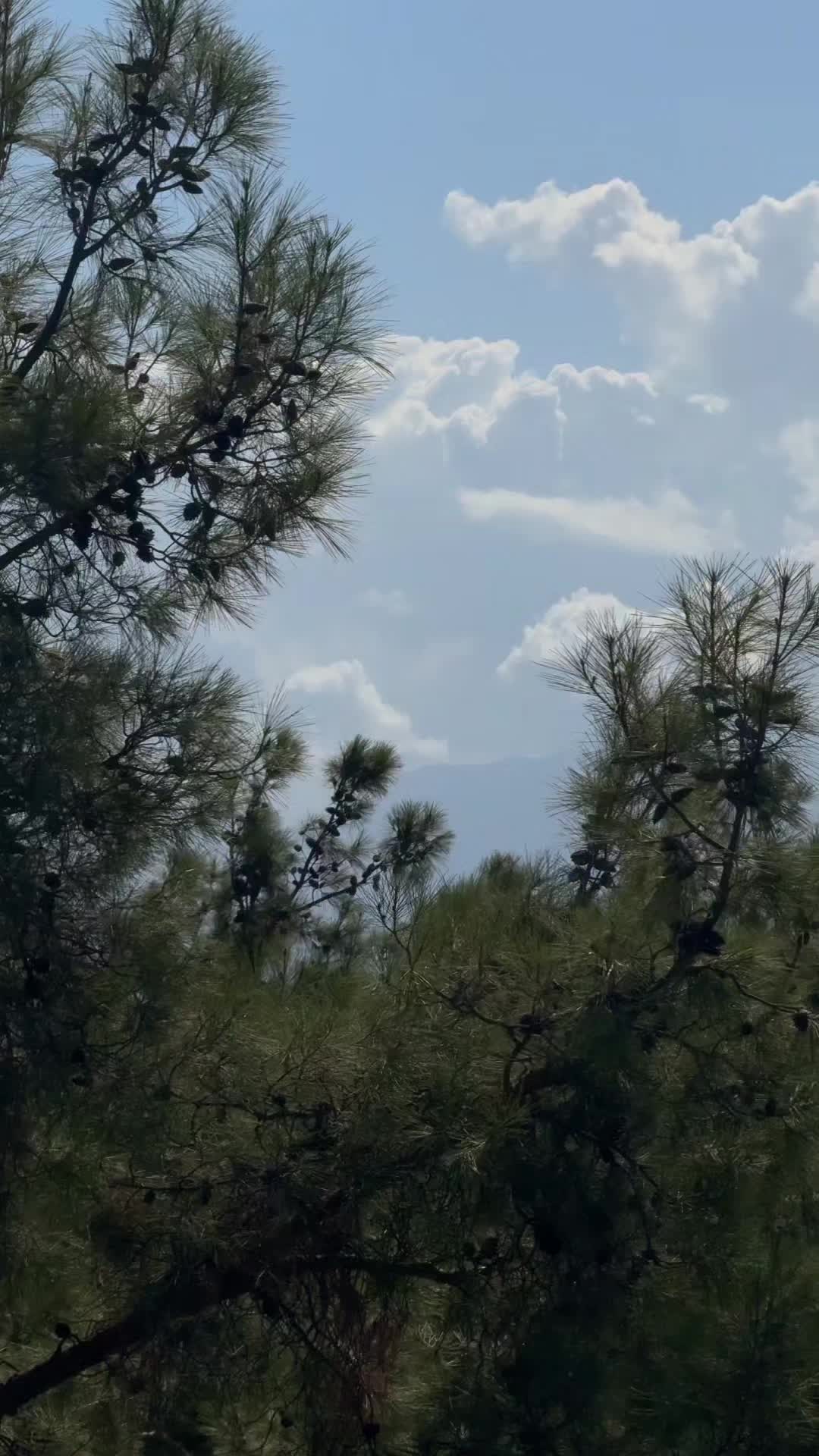 @EmazLyrics