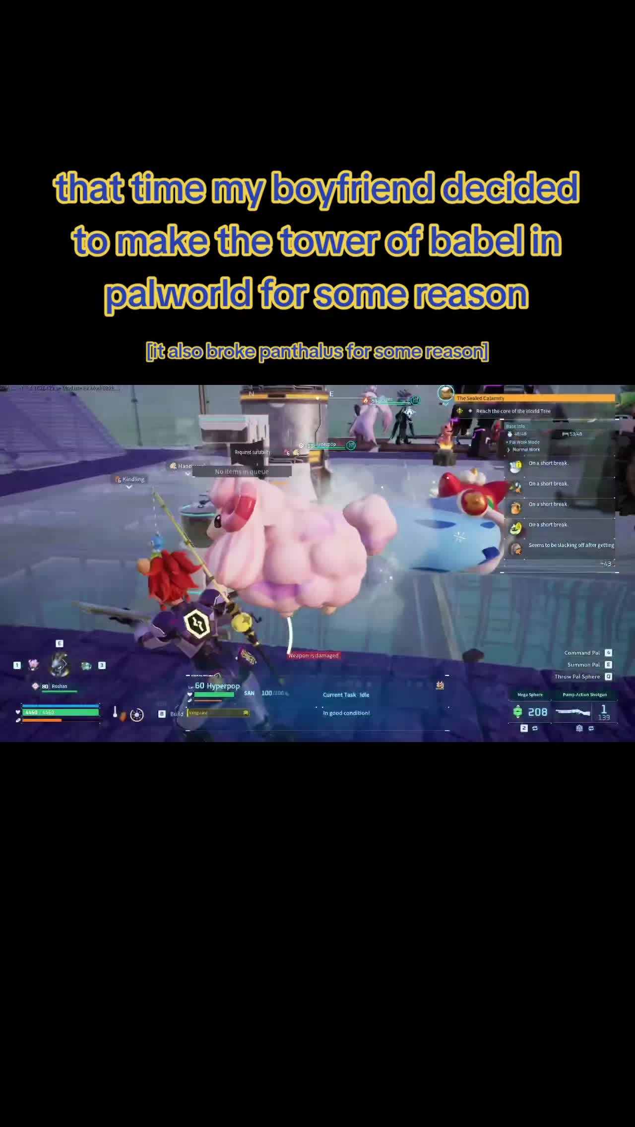 @#1 pawmi fan[♾️🌈/🇨🇻/🇸🇷]