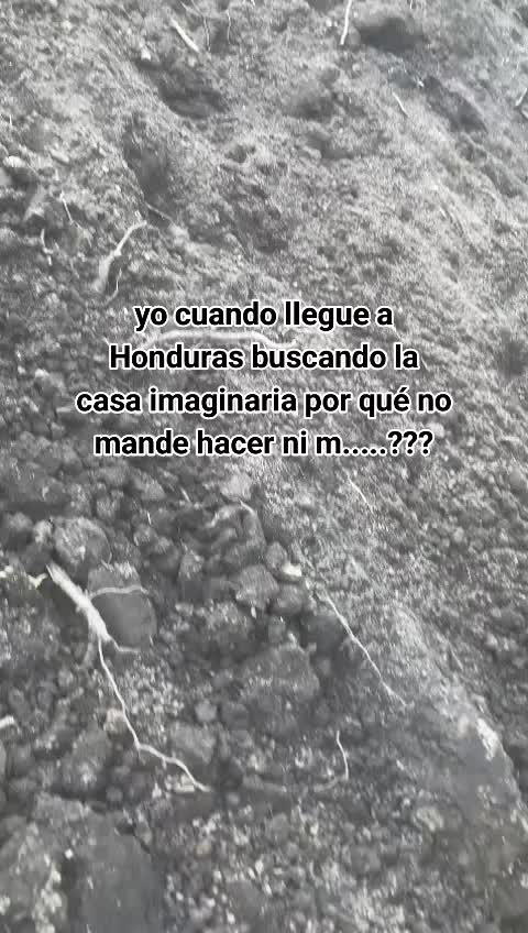 @amayamartinez