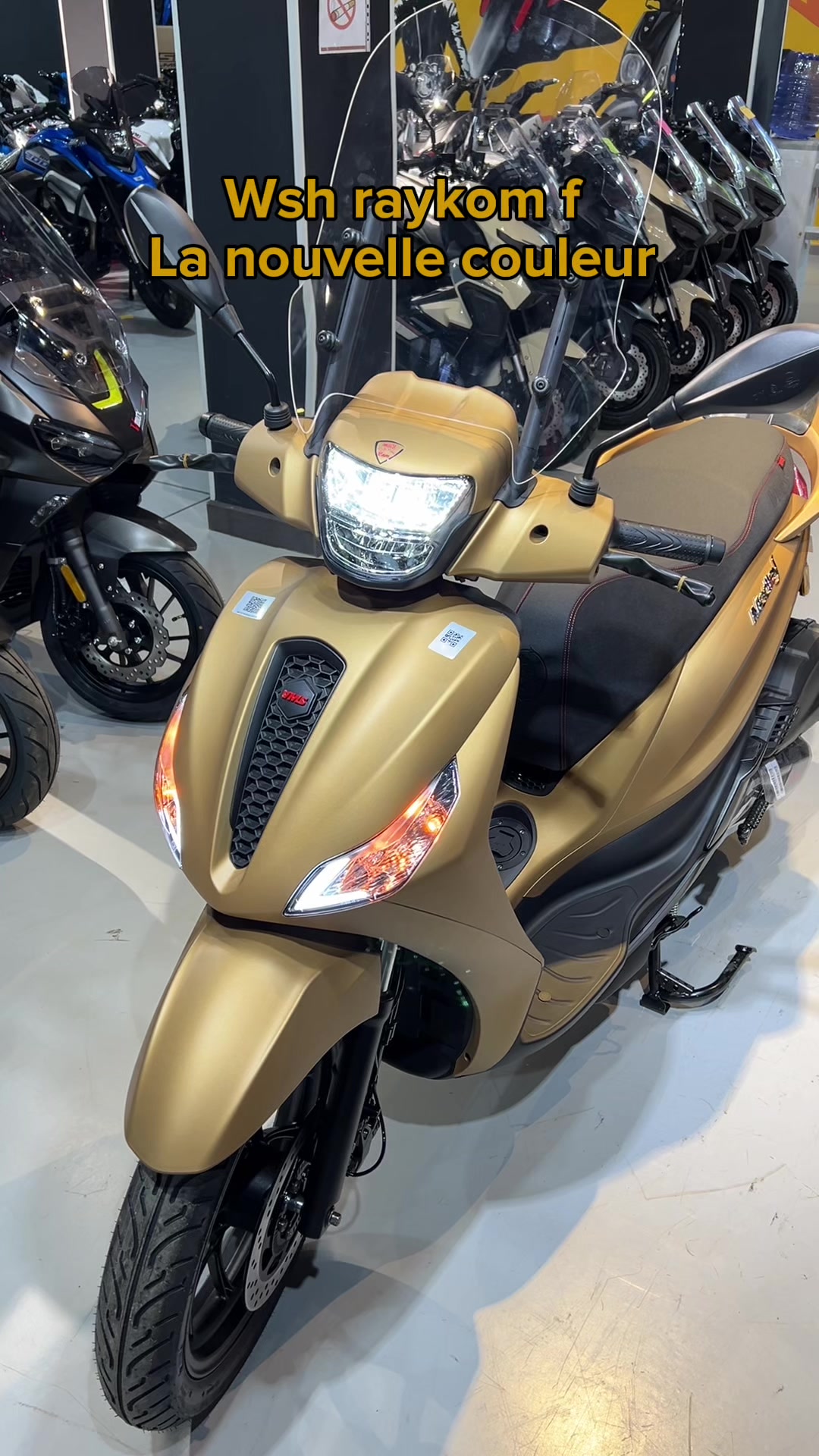 @moto_team_dz