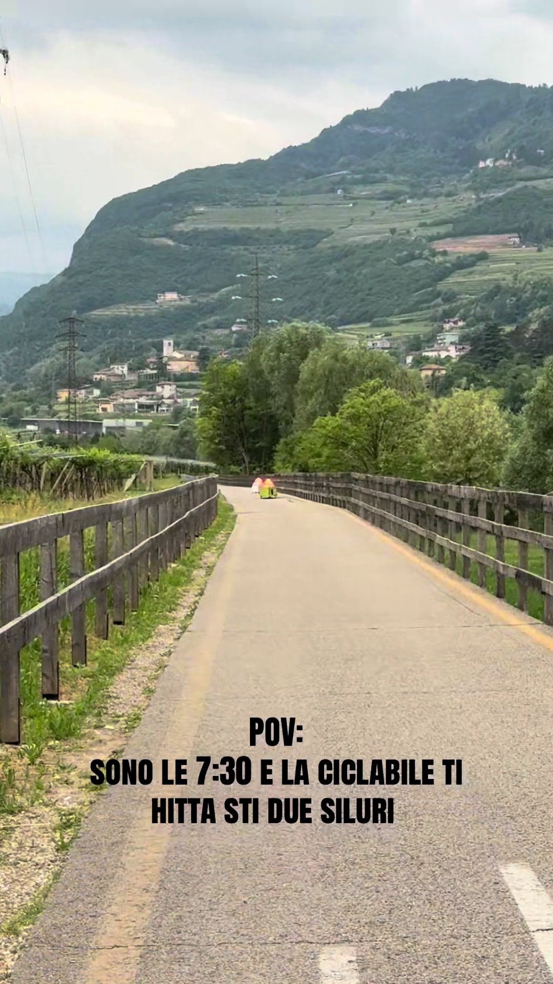 @Bolox