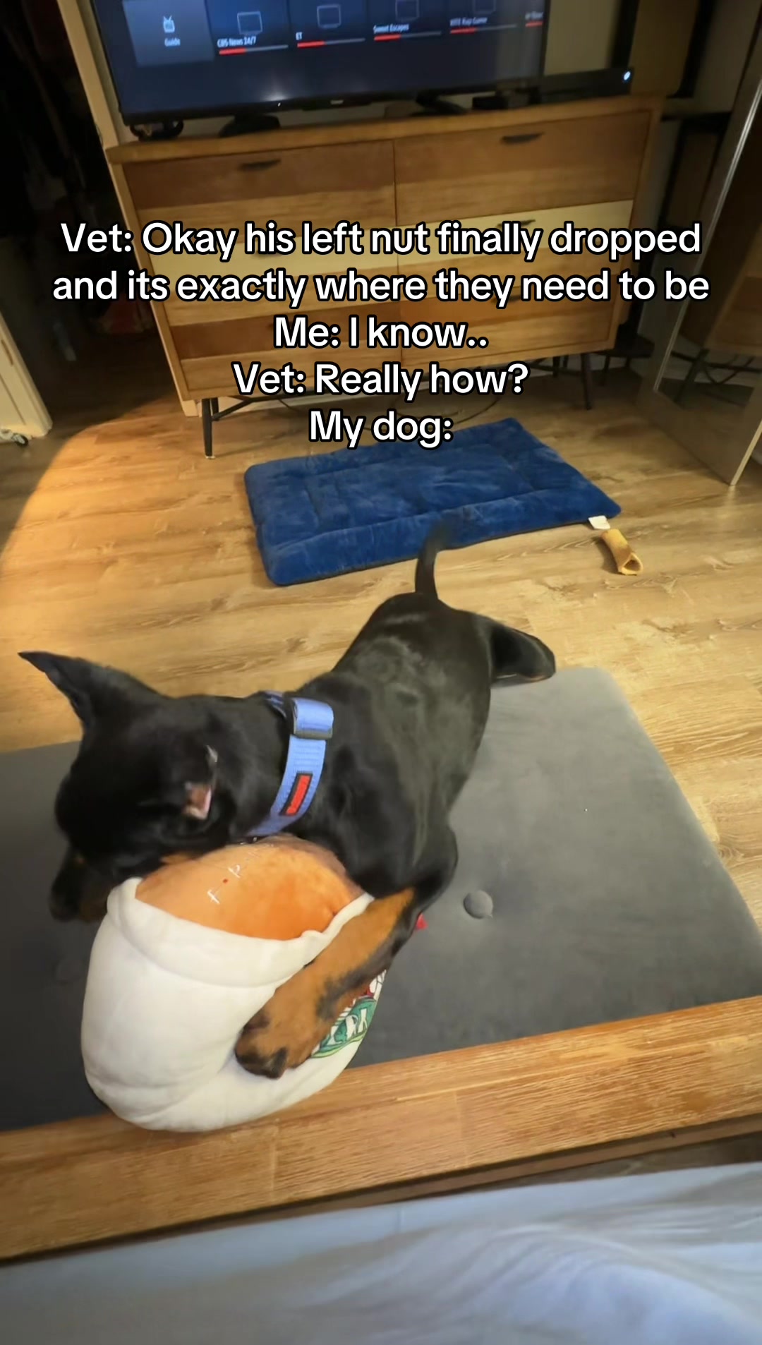 @Repti.snoot