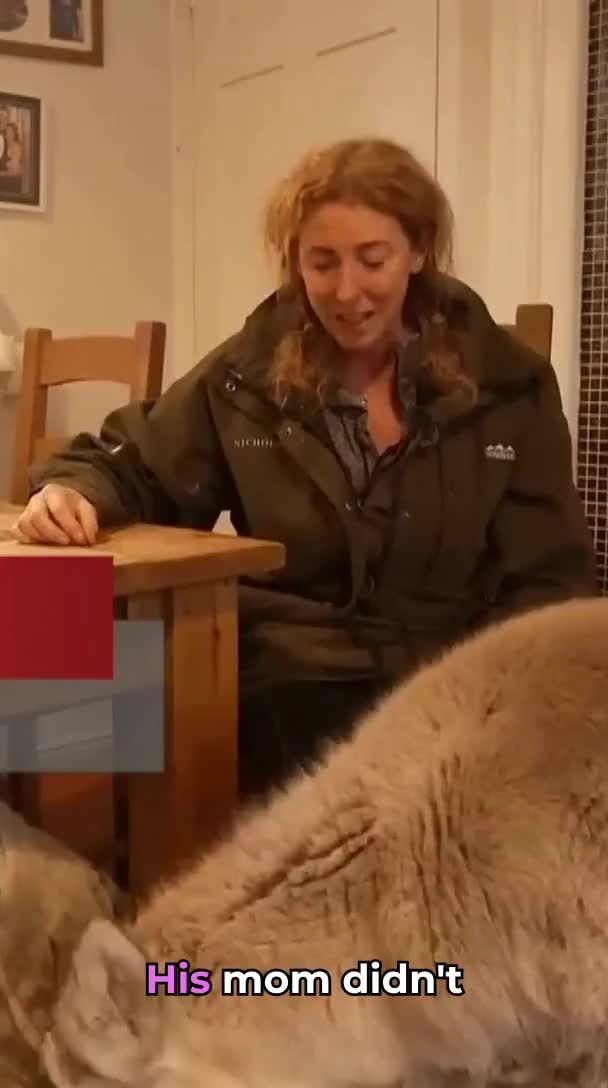 @irisemode