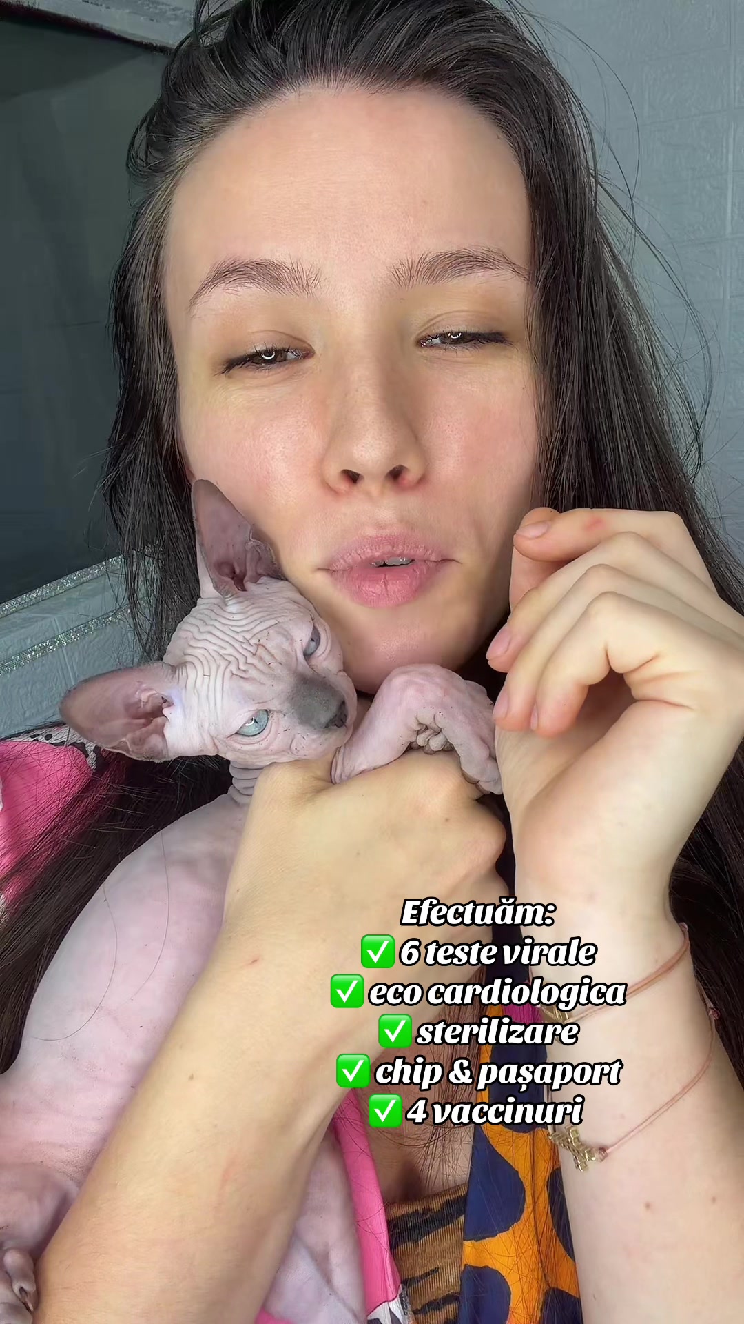 @Diana Ciortan Sphynx Romania