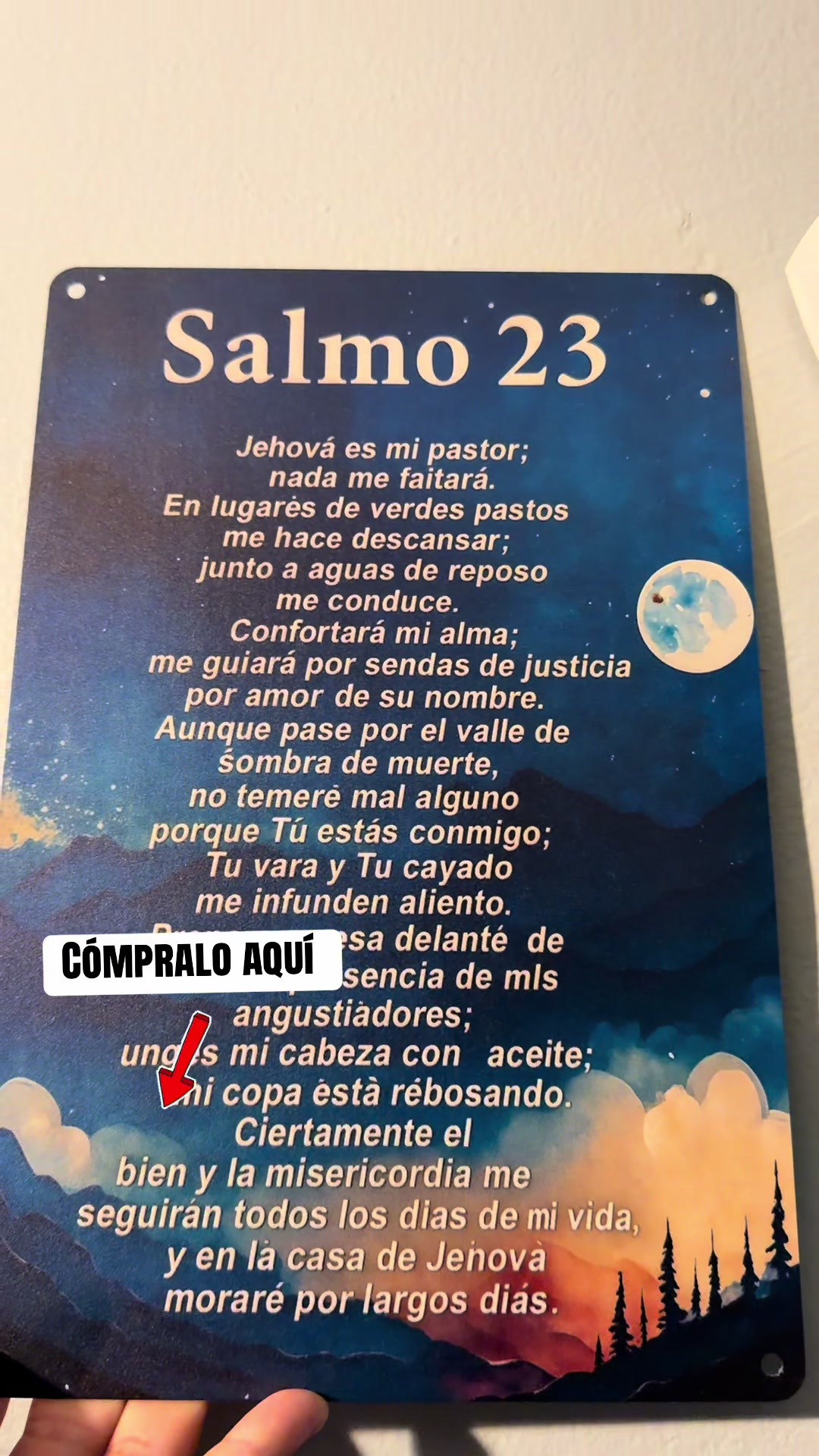 @Katia Diaz