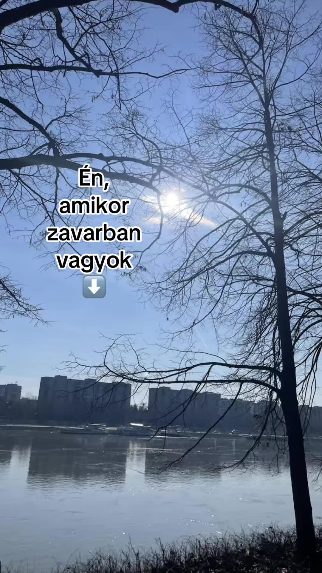 @A.n.i.k.o.21