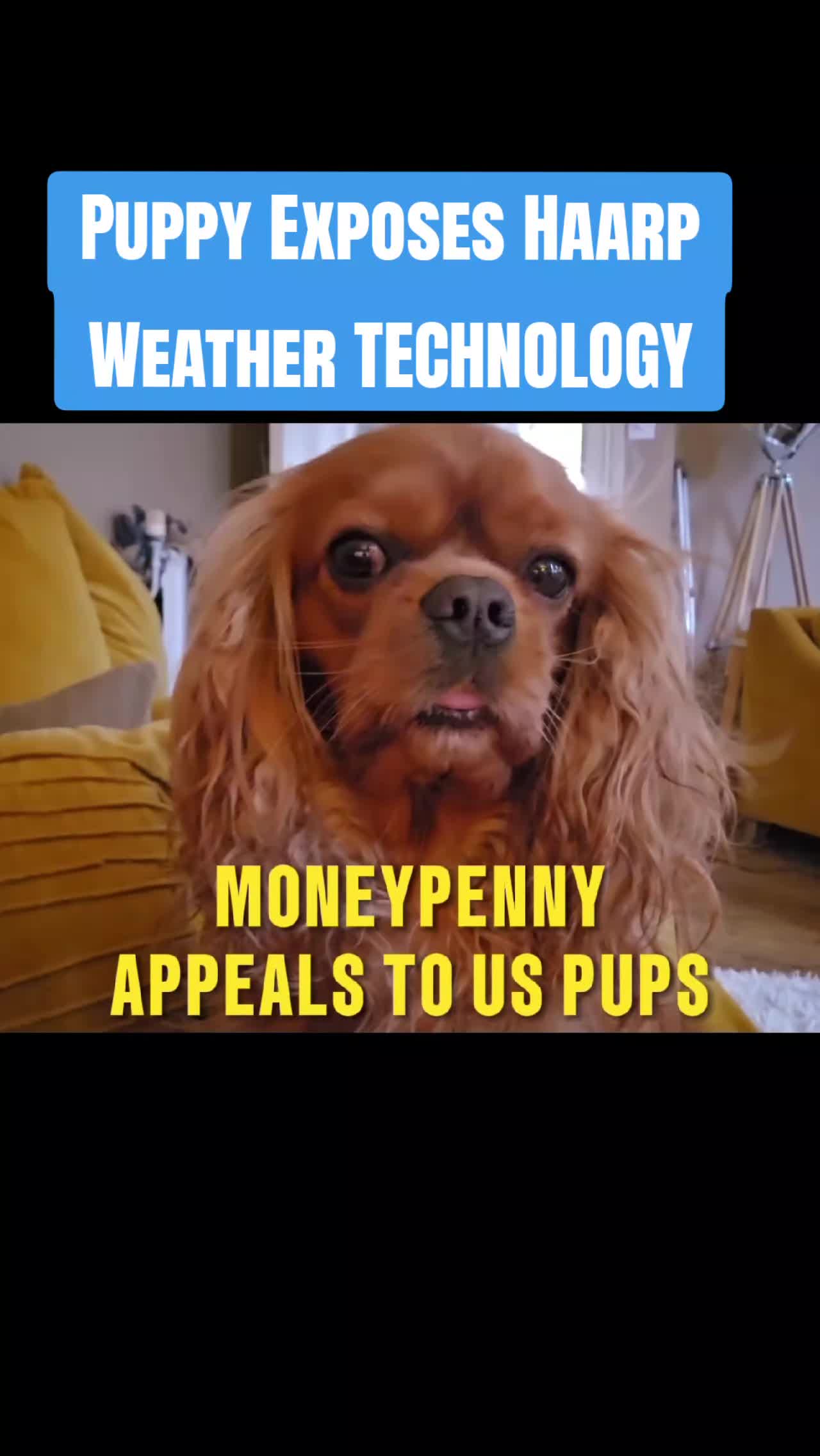 @moneypennyuk