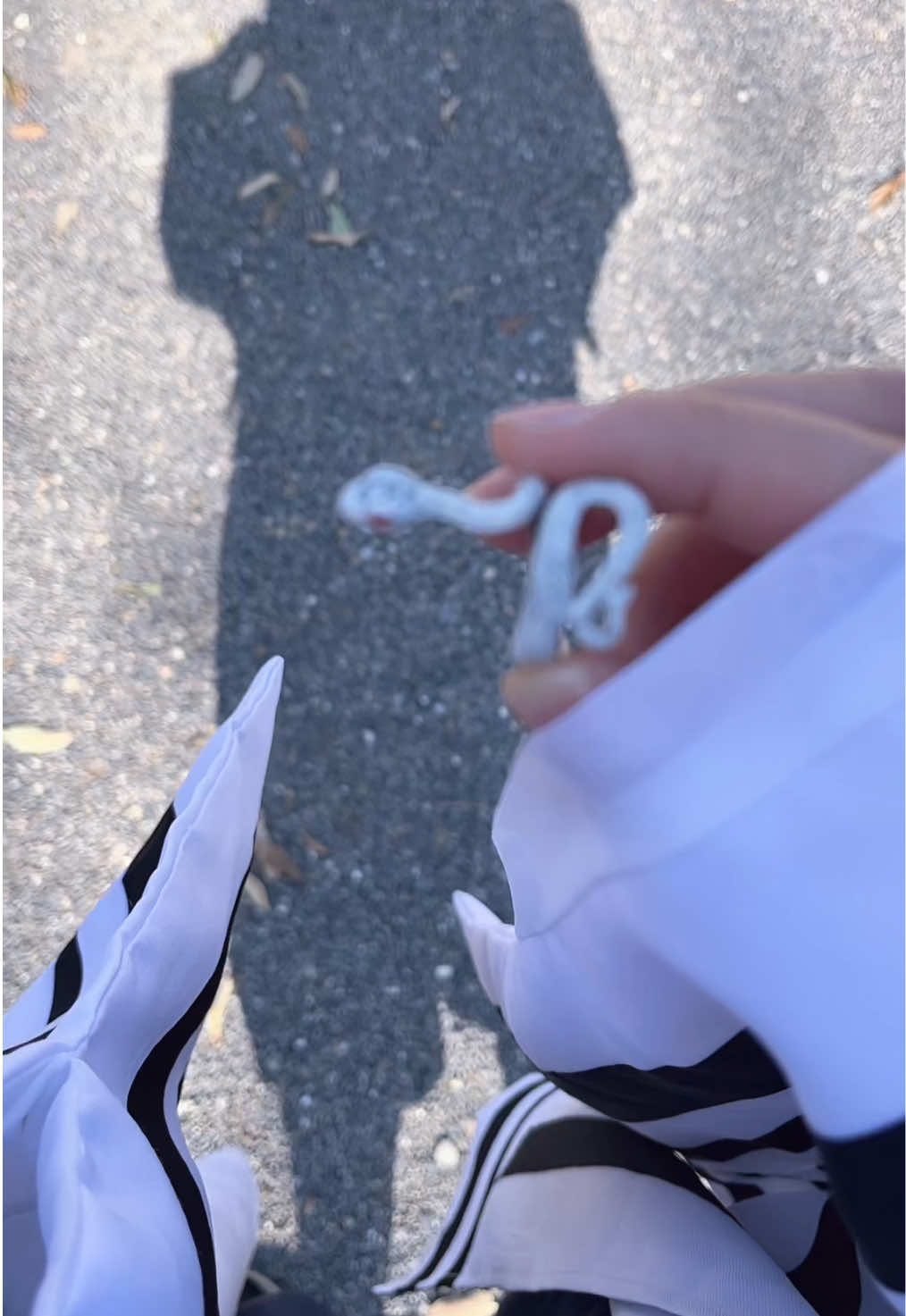@⋆✴︎˚｡⋆やらかしのファンタジスた🤩⋆✴︎˚｡⋆結真
