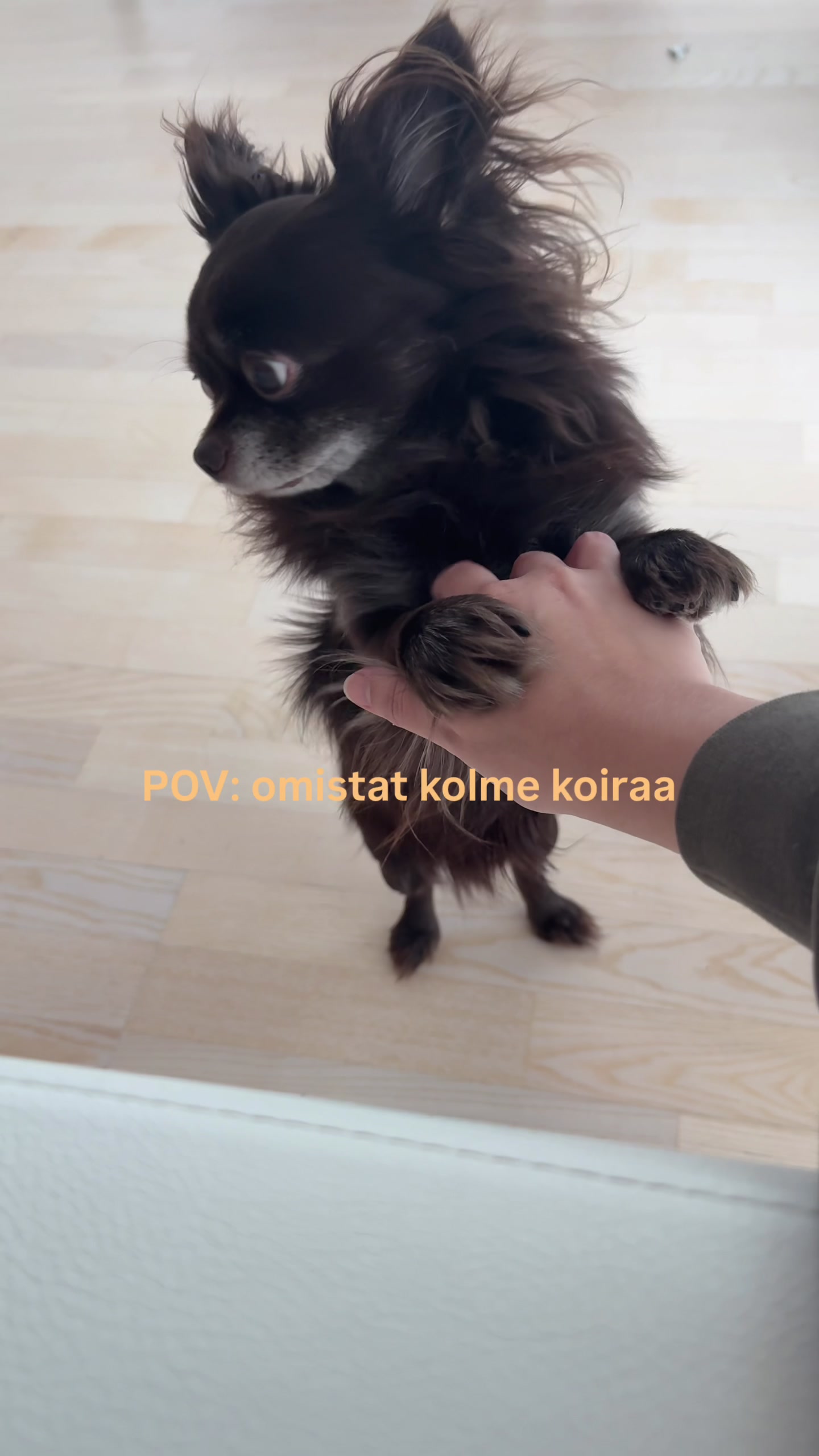 @vilhelmiinafr