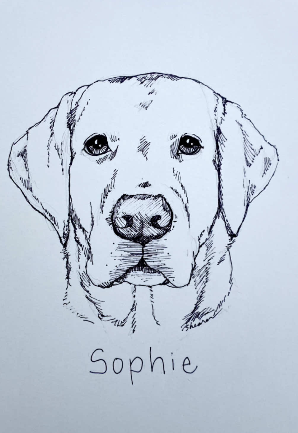 @Pet Portrait Artist