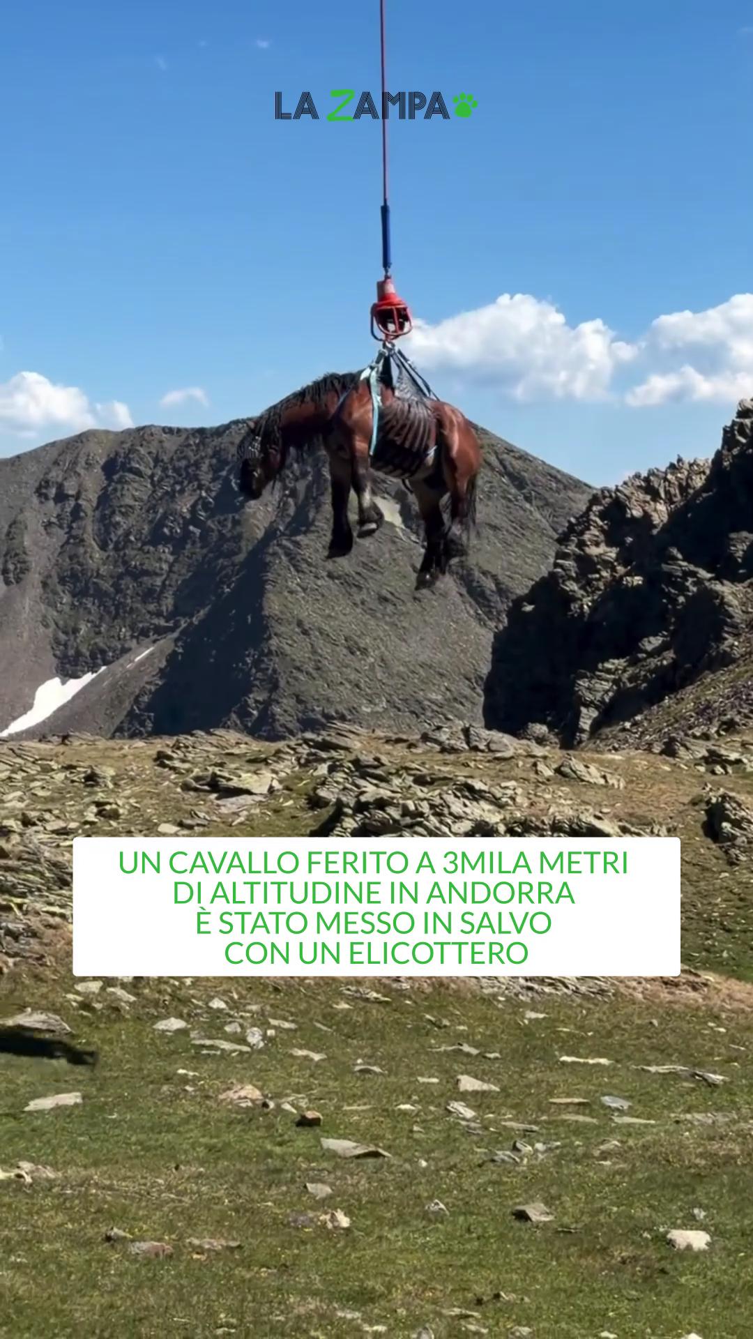 @la.stampa