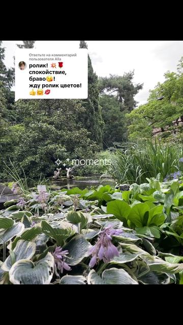 @Путешествуем с Беллой