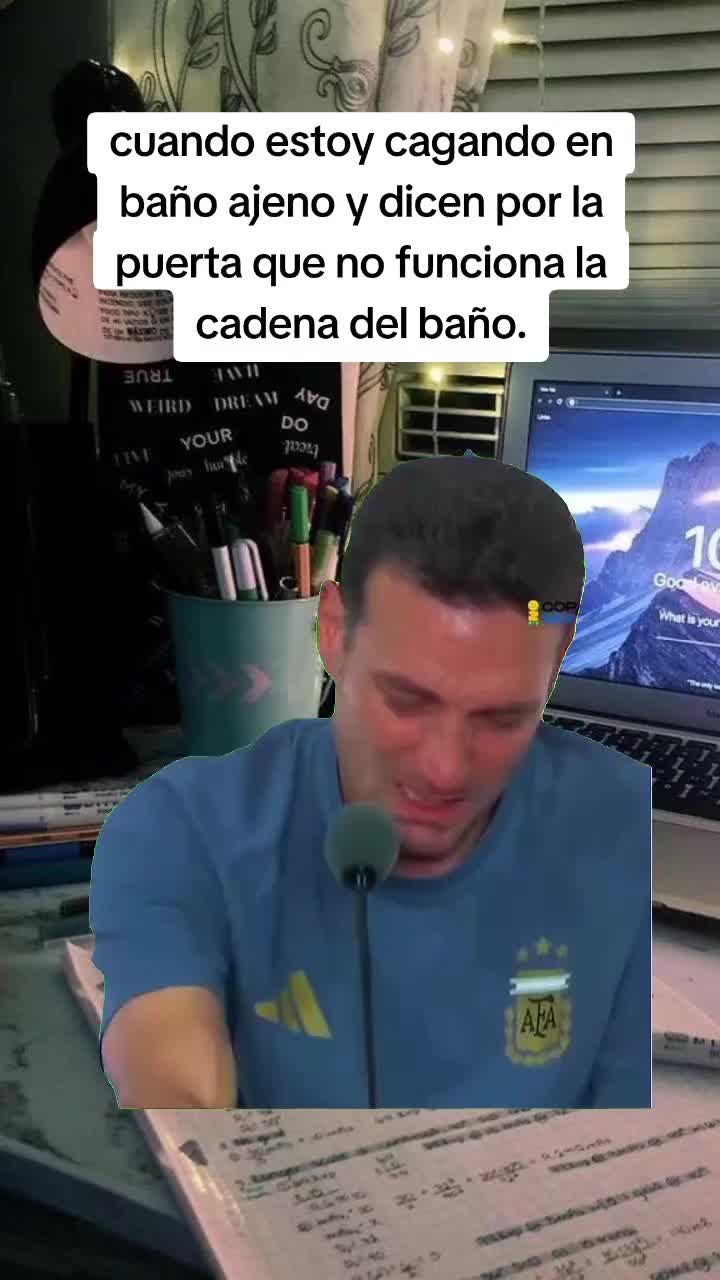 @Luis Carvajal240