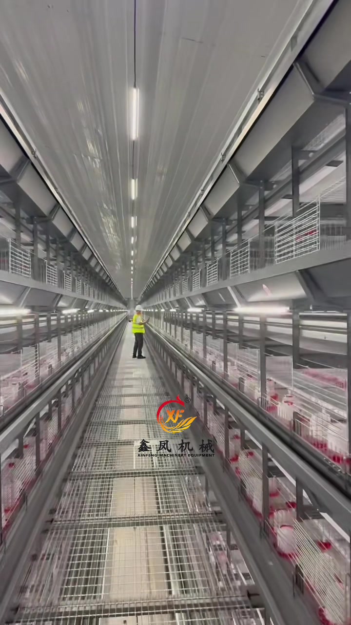 @Auto Poultry Cage Manufacturer