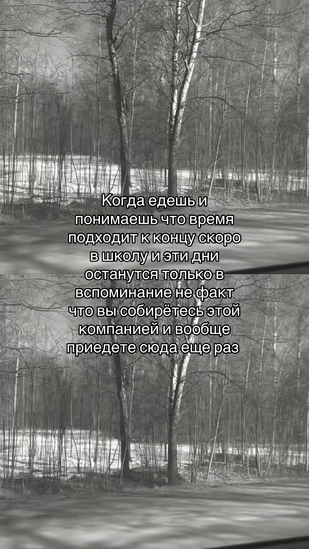 @vikulka