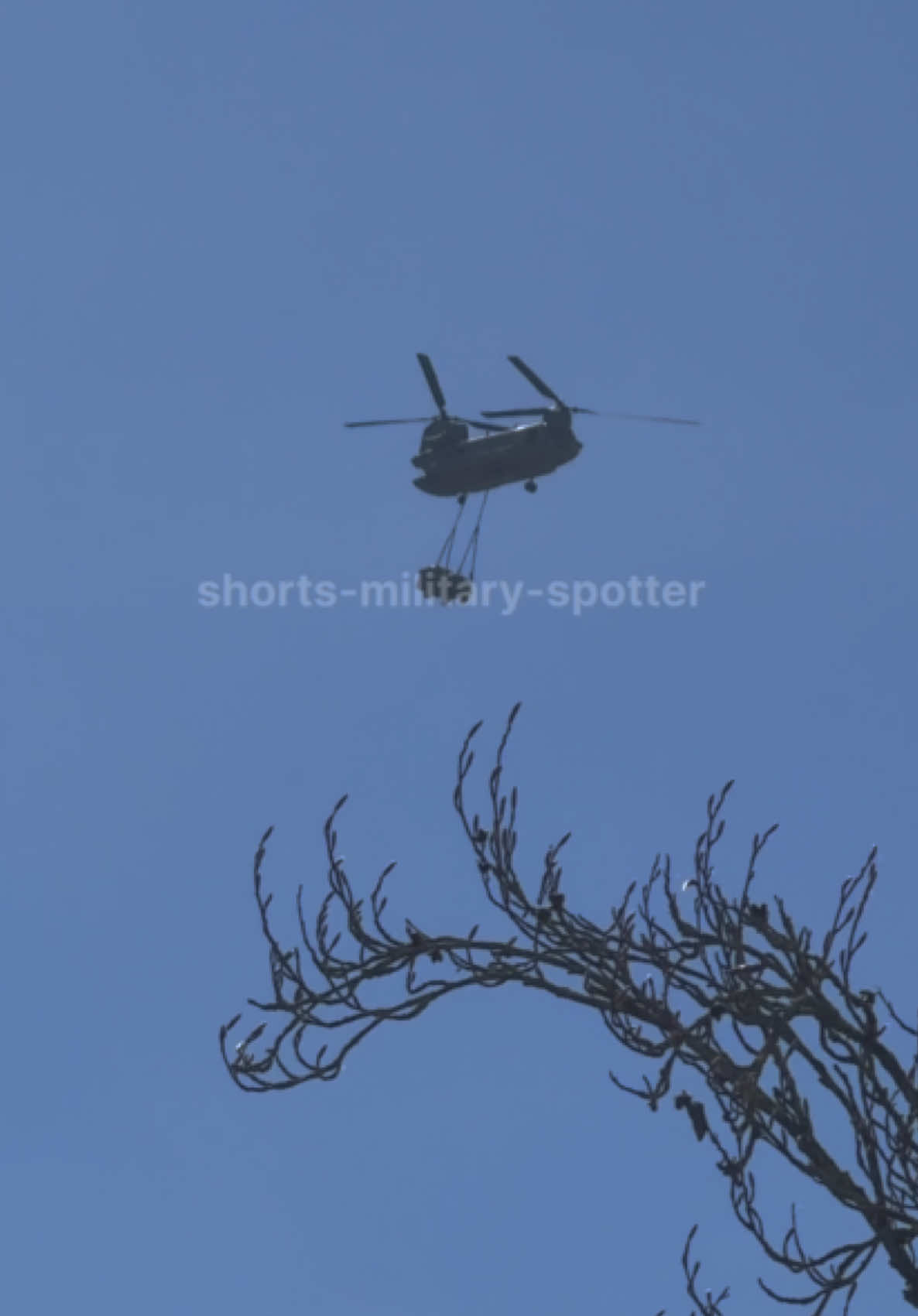 @shorts-military-spotter