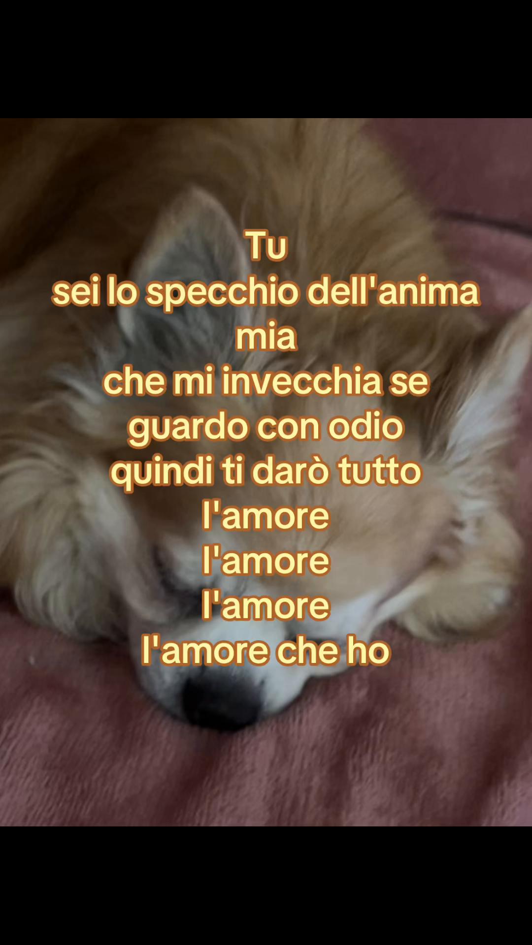 @chocomenta