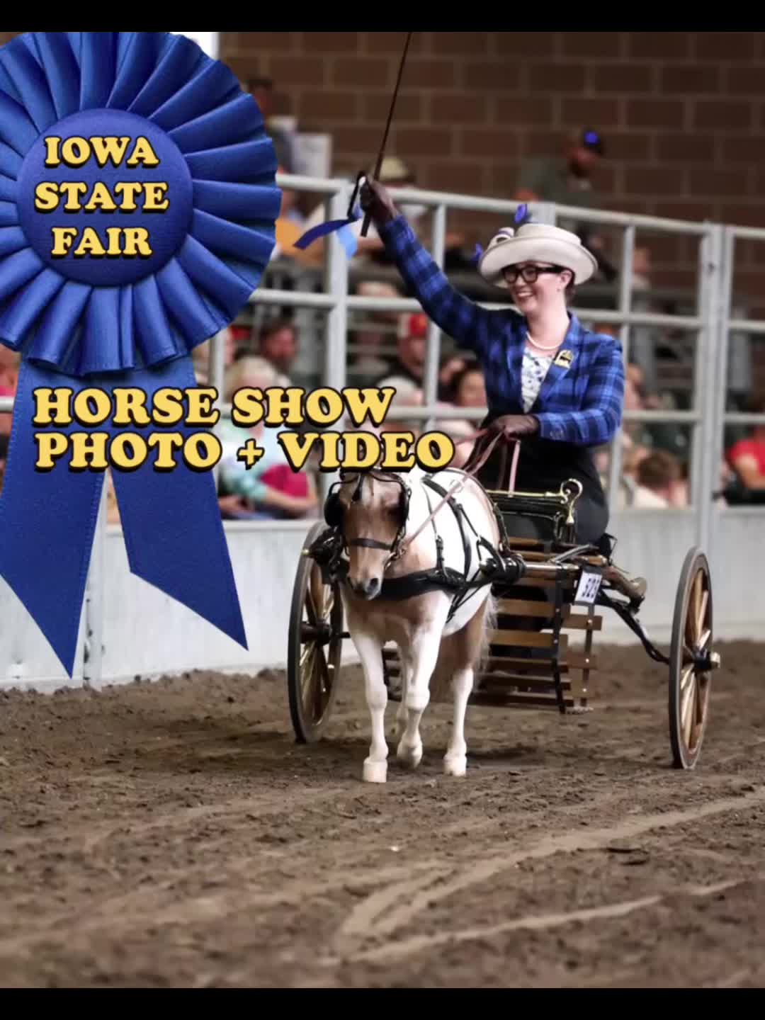 @Tisha 📸🦄 Equestrian Photog