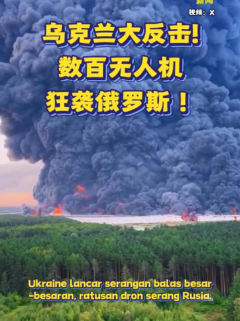 @中国报