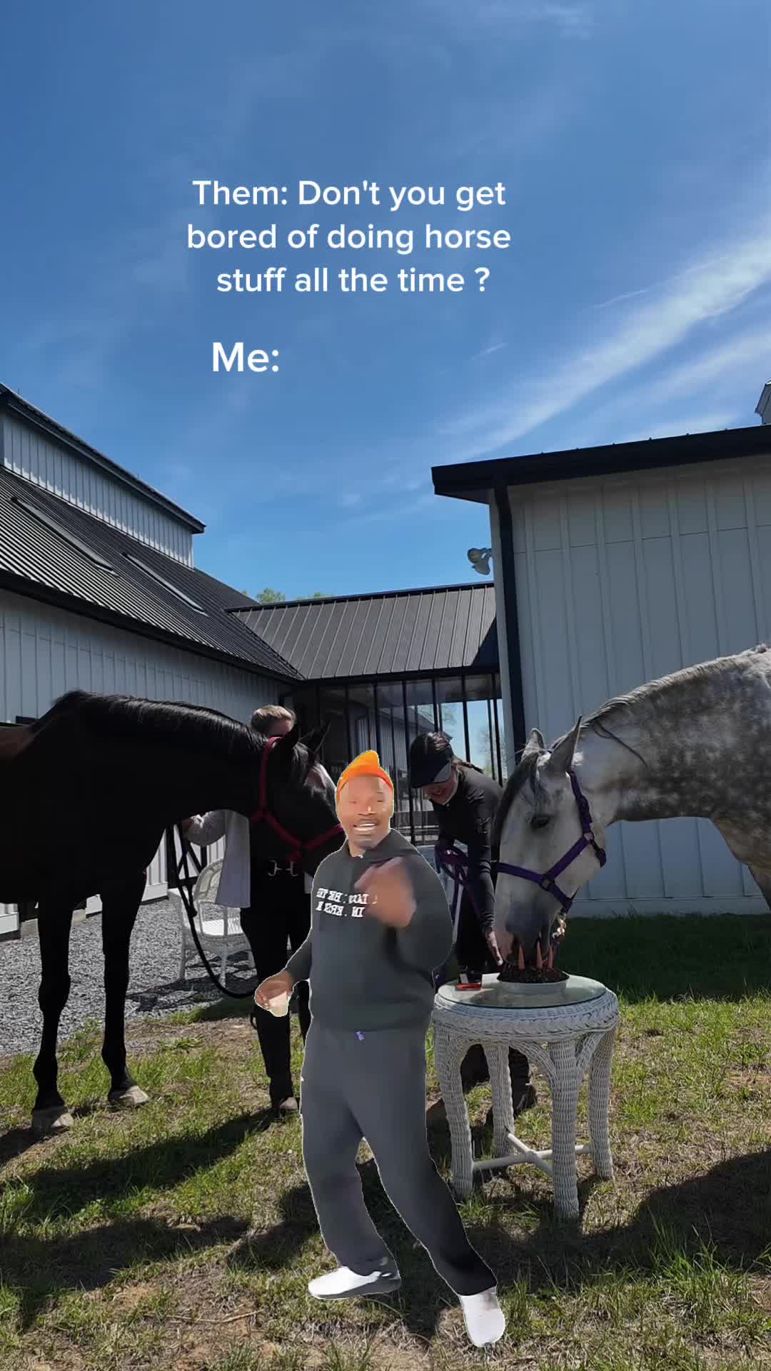 @Sync Equestrian