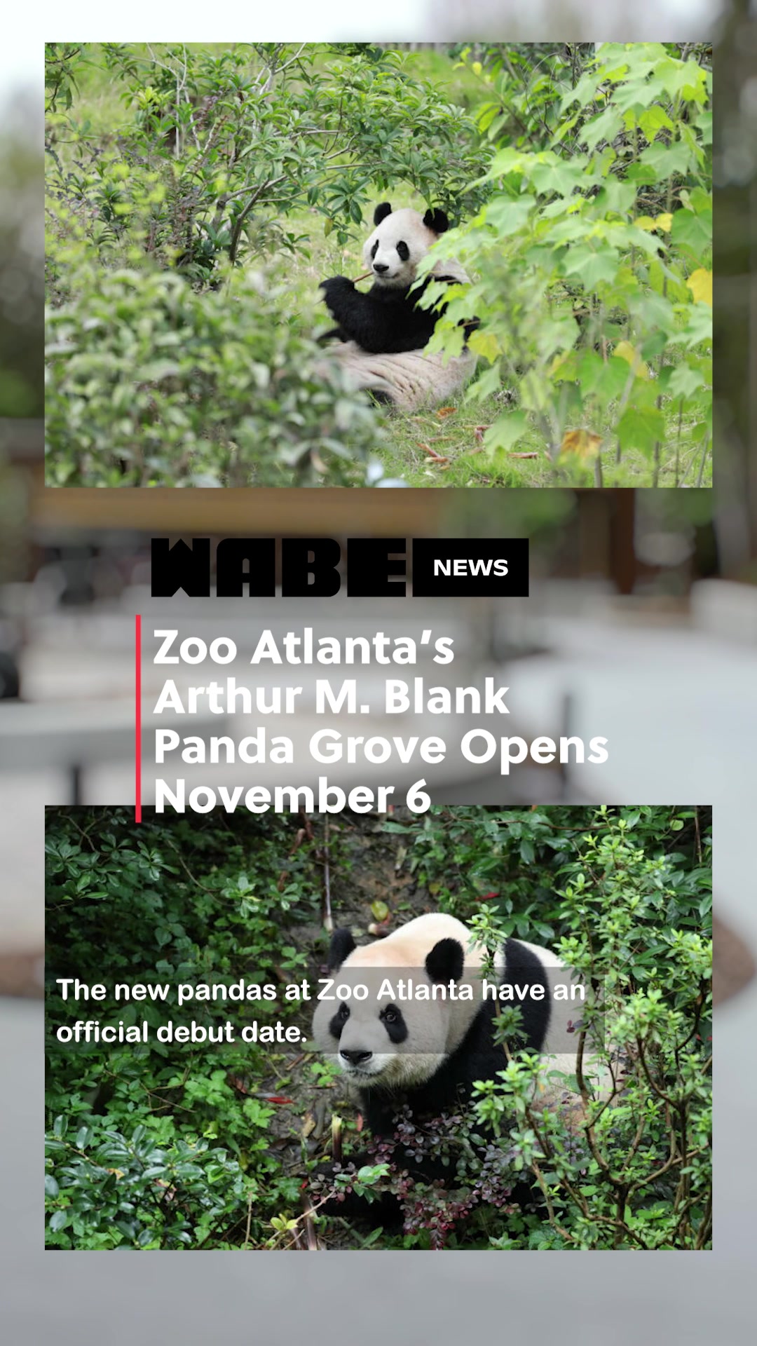 @WABE Atlanta