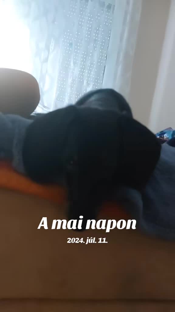 @ZSANIX
