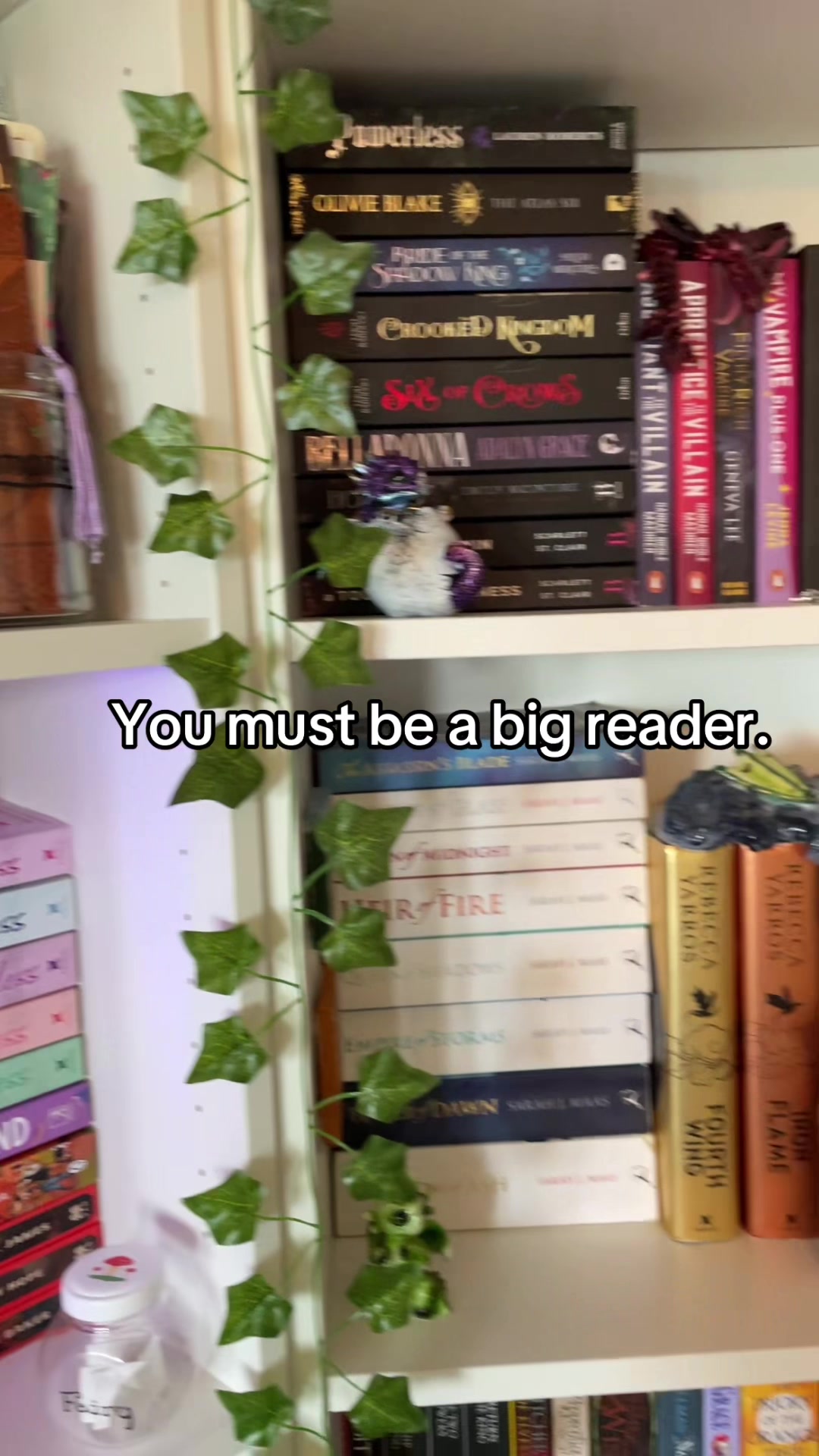 @Anwen’s Library 📚🌿✨