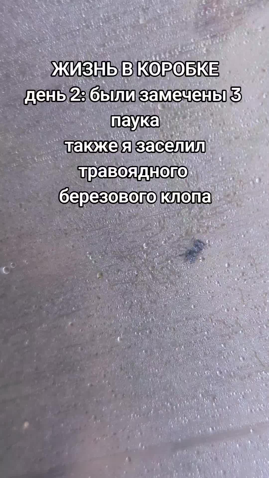 @ЖИЗНЬ В КОРОБКЕ