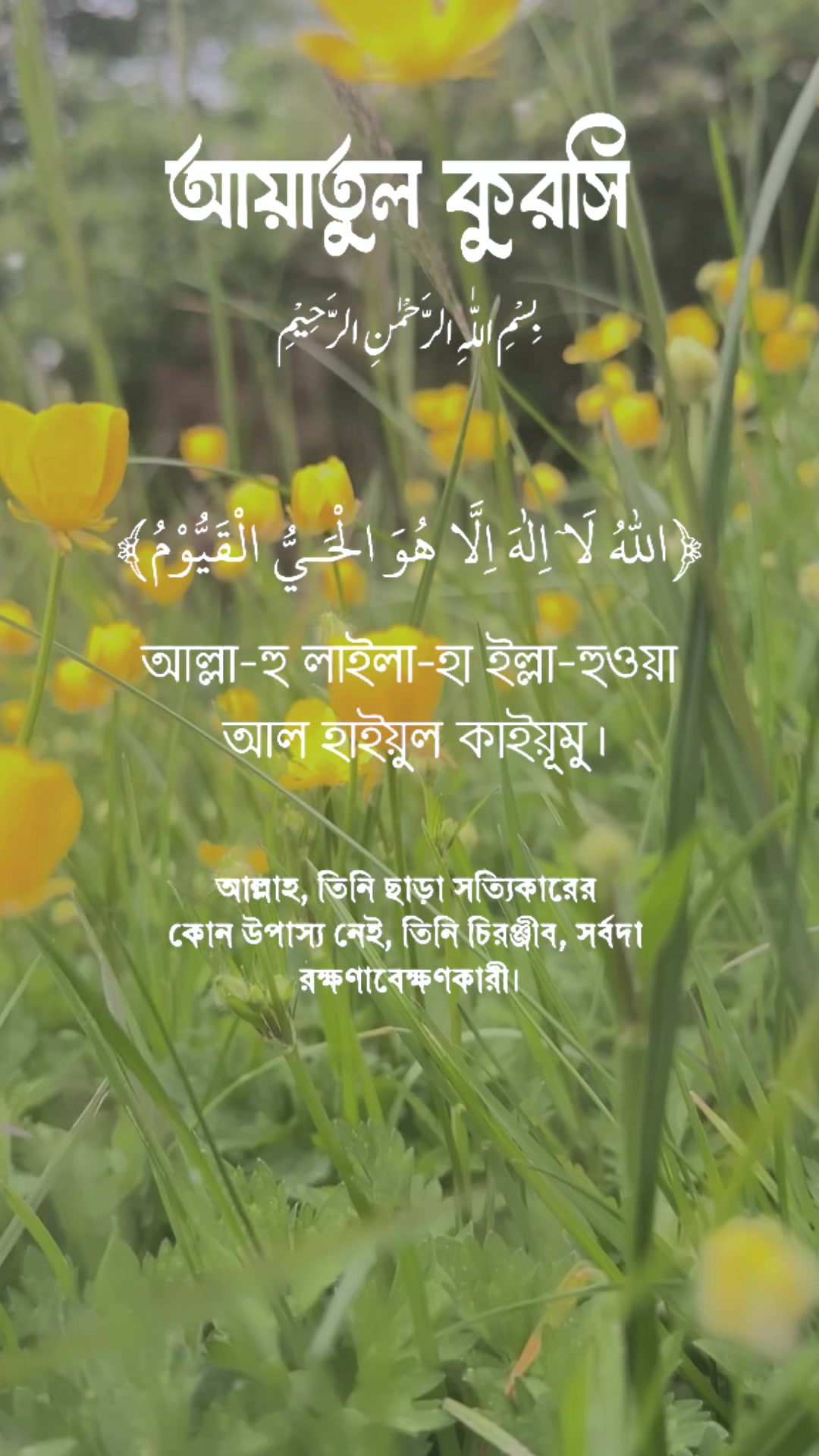 @moumita