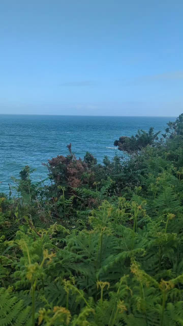 @michelle🏴🇮🇪