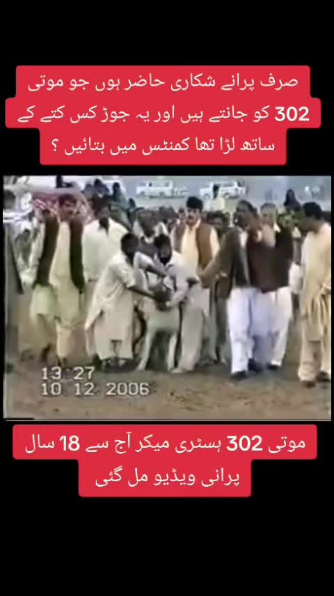 @bullishokeen2