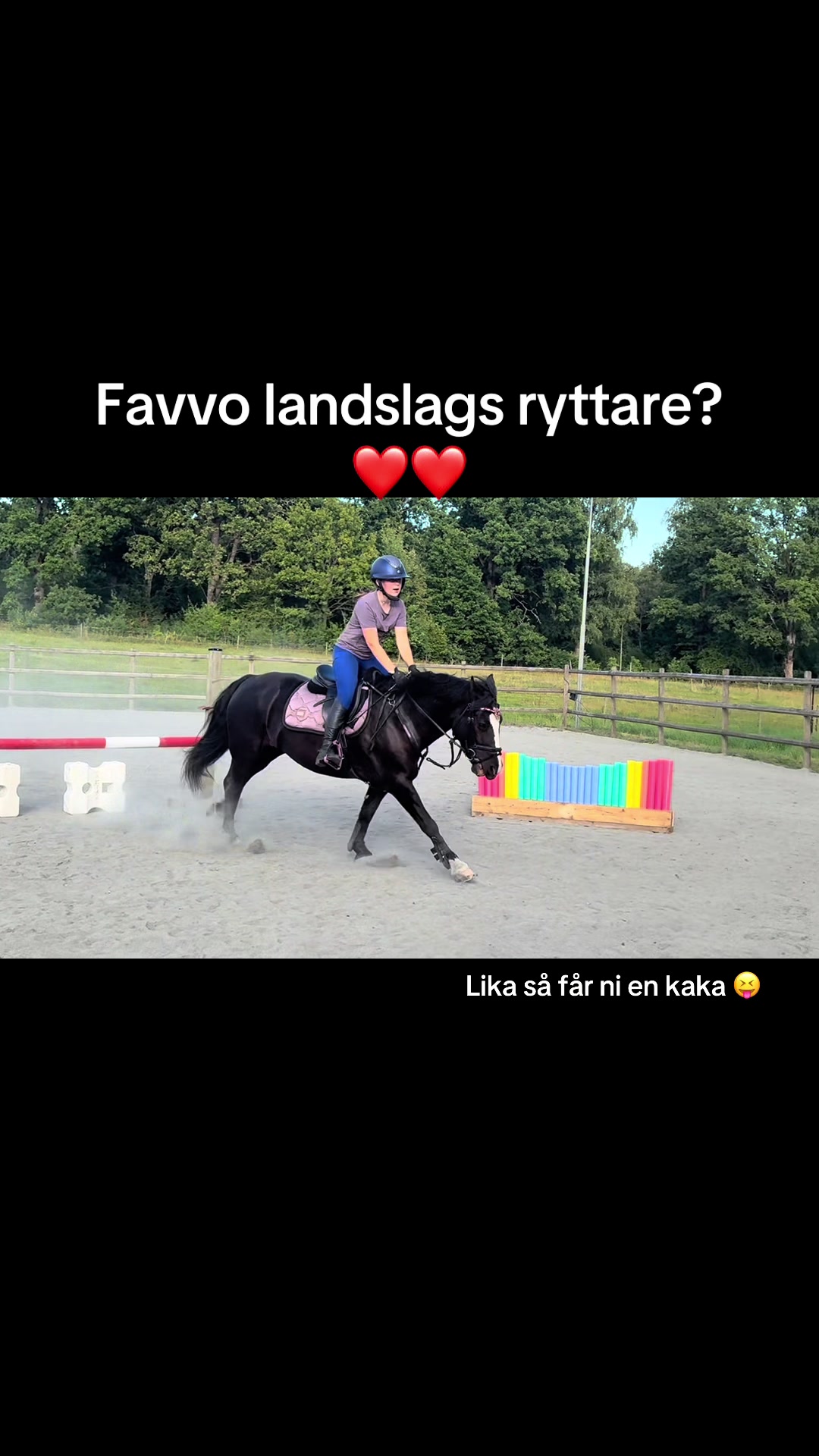 @🇸🇪🦄𝓔𝓵𝓲𝓷 𝓔𝓭𝓺𝓿𝓲𝓼𝓽