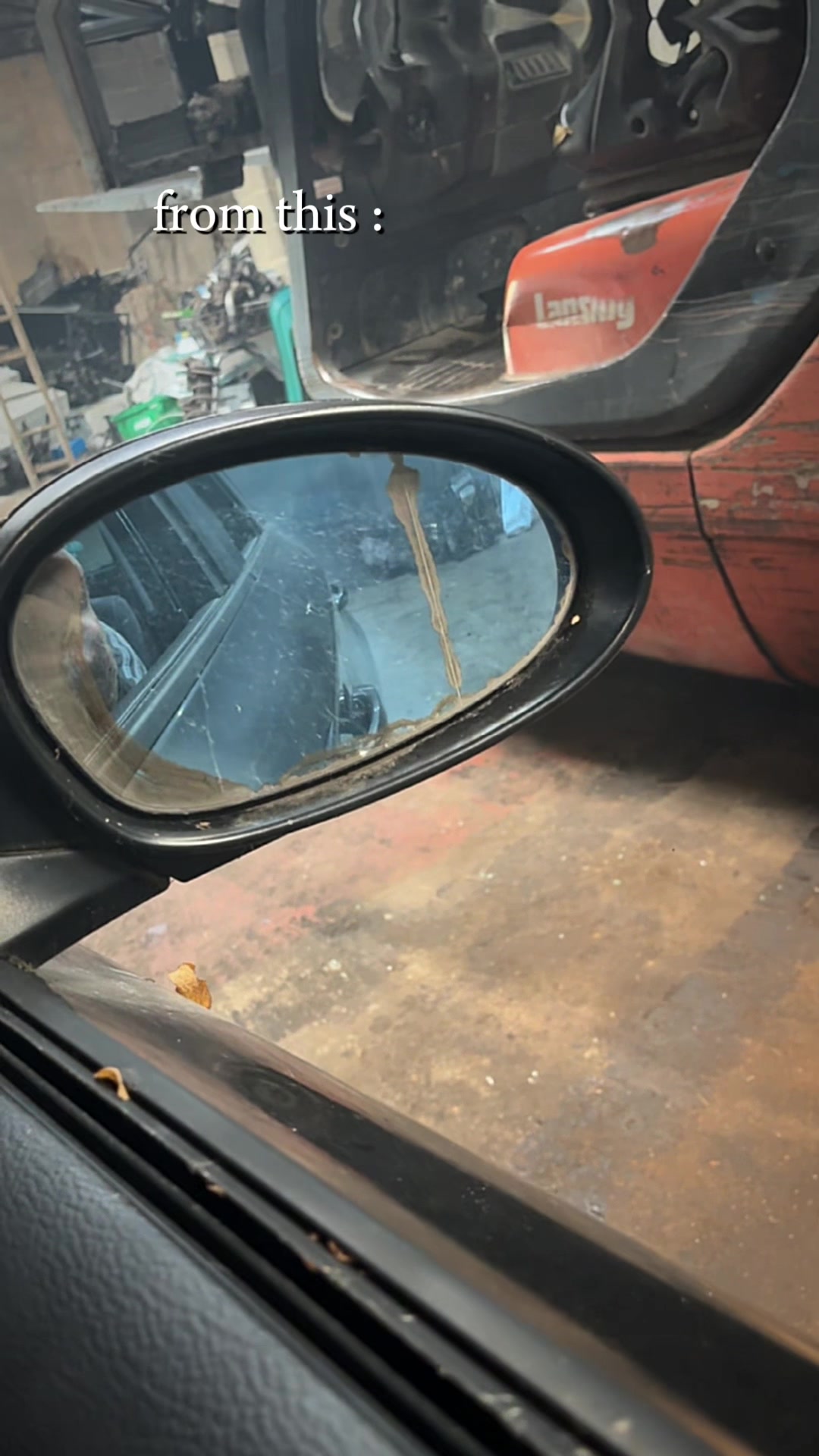 @tree man