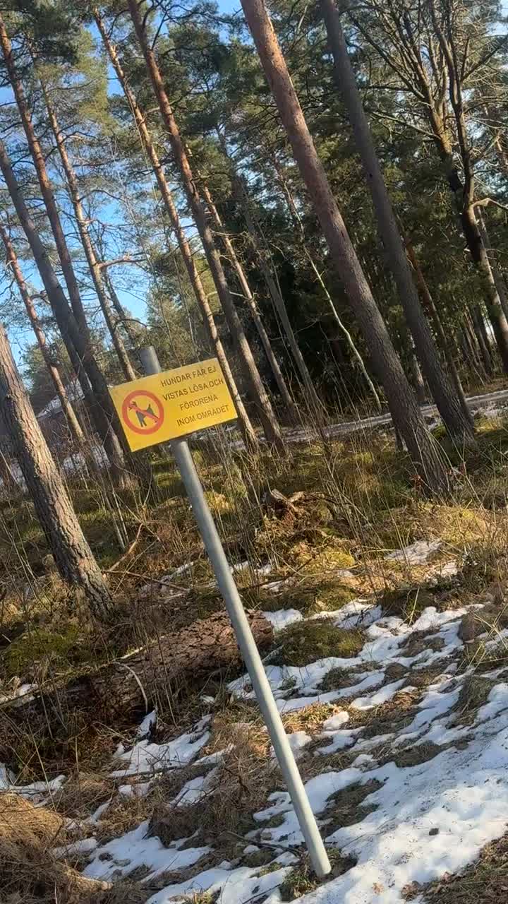 @Jalle