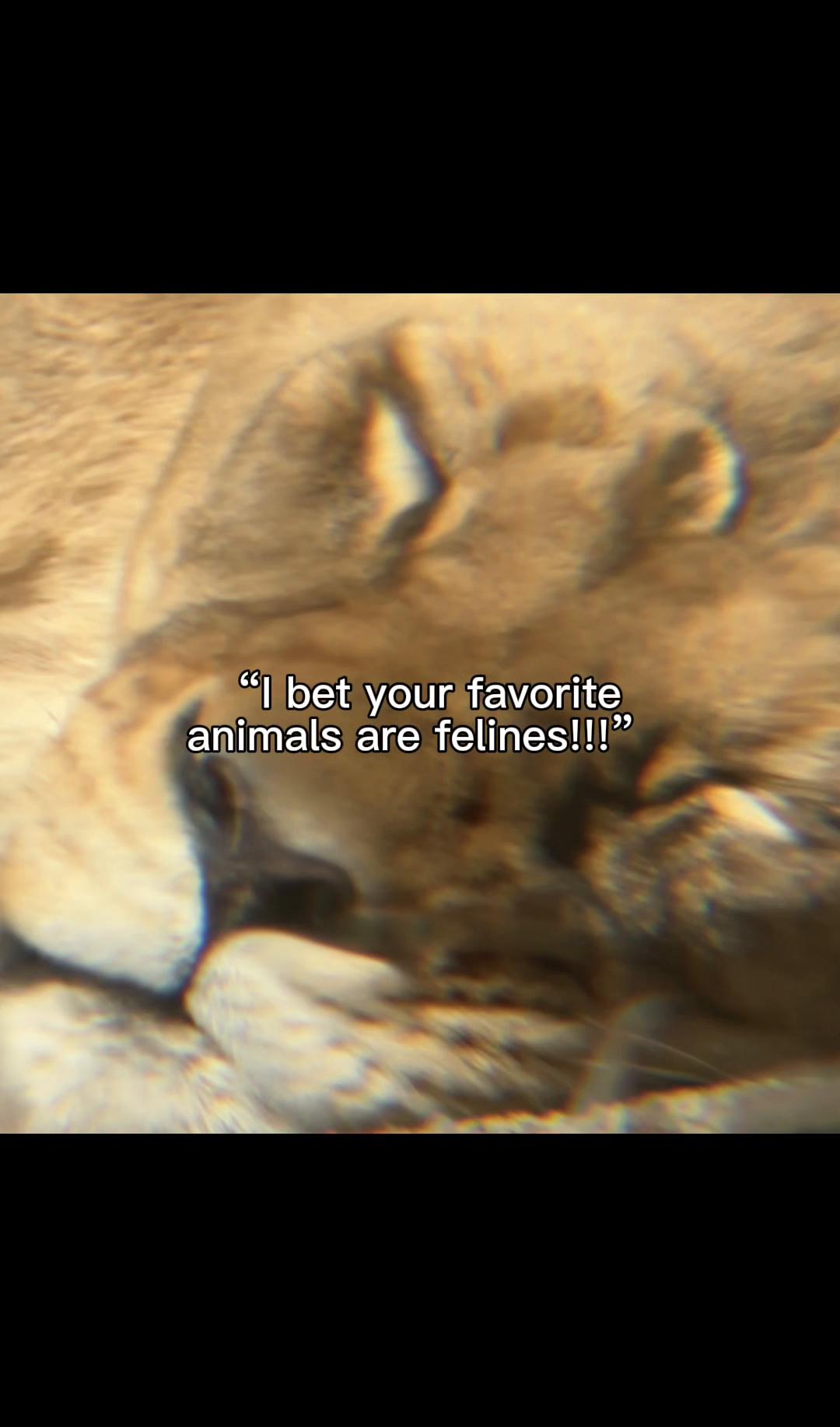 @𝐚𝐯𝐚