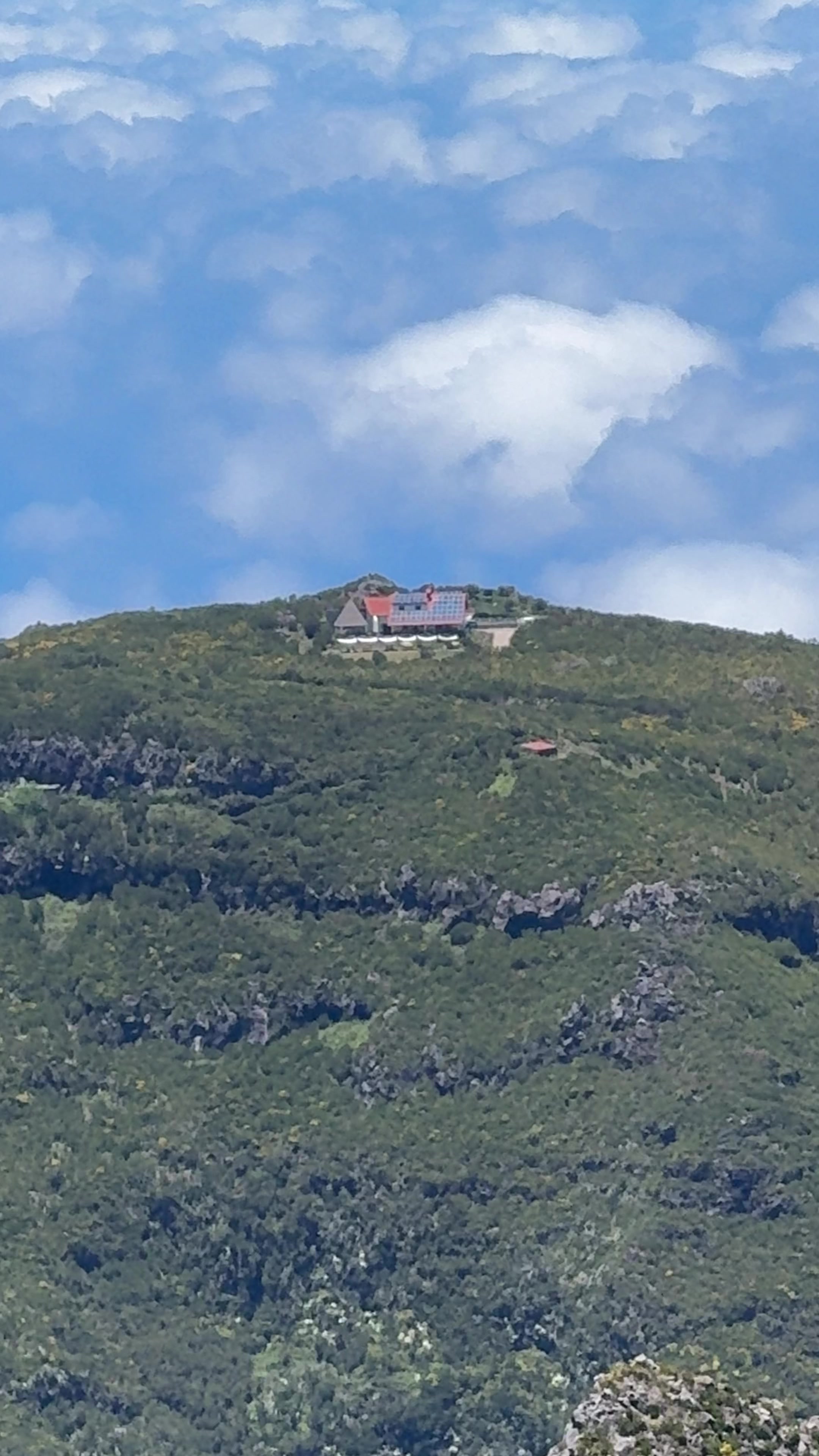 @ImpactAzul Madeira Island Tour