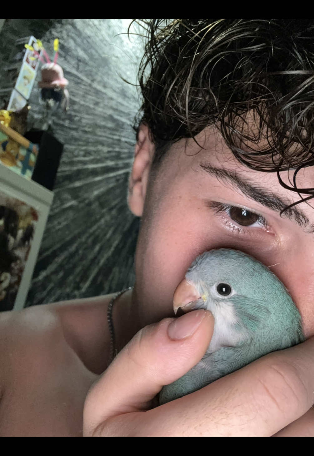 @nickxz