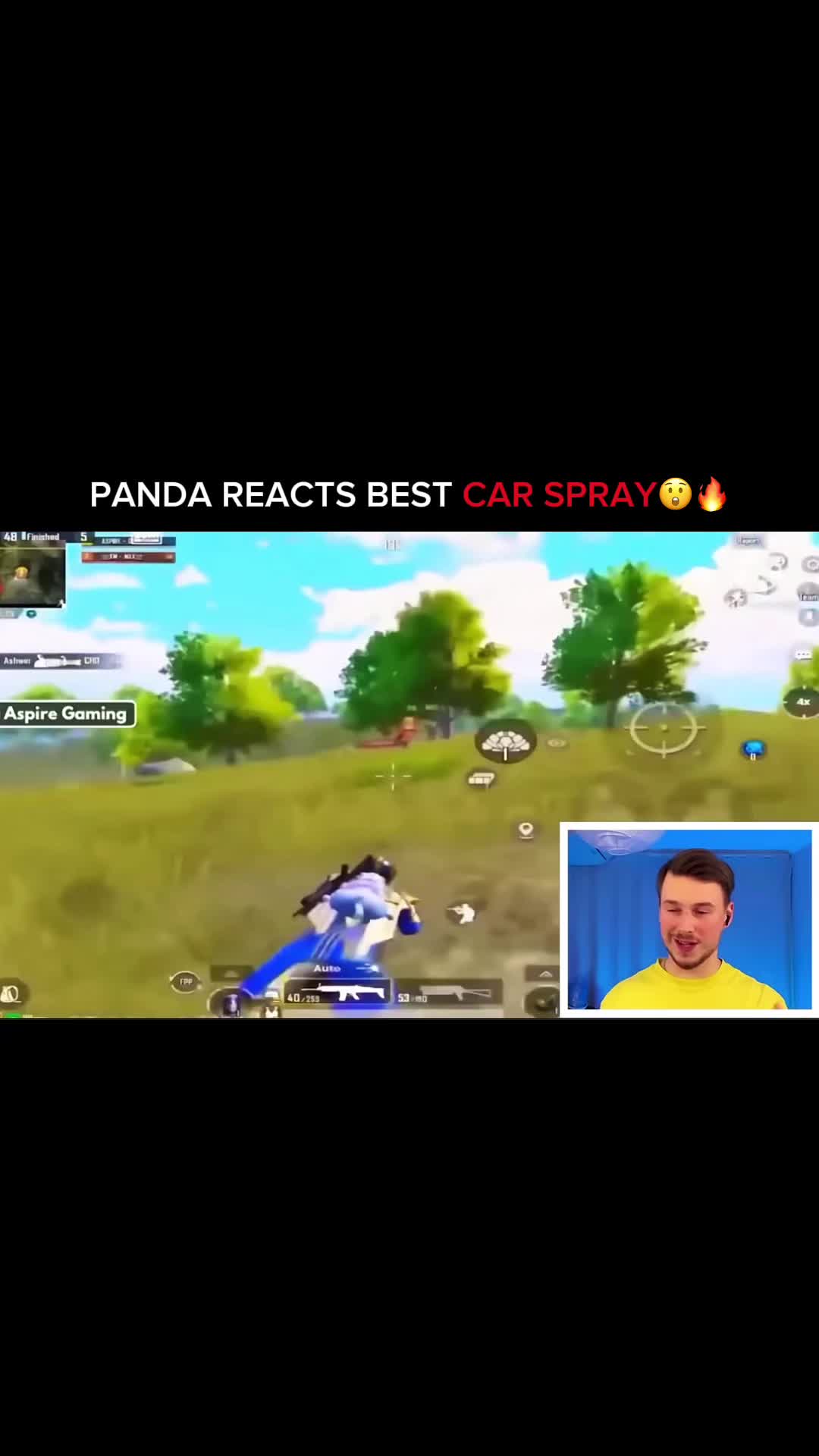 @Panda Clips