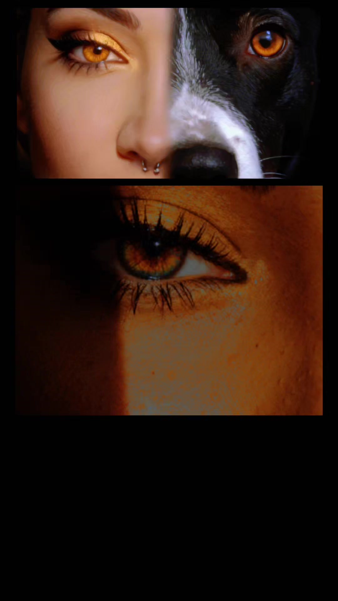 @🐯🐕🤍𝓐𝔃𝓻𝓪𝔂𝓪 🖤🐕🐯