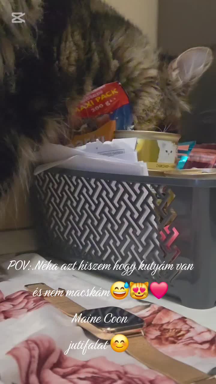 @Klaudia_salai 0821❤️