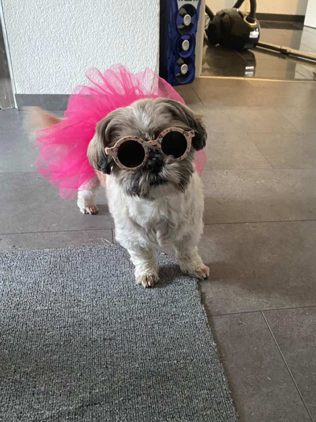 @Bella🐶💕