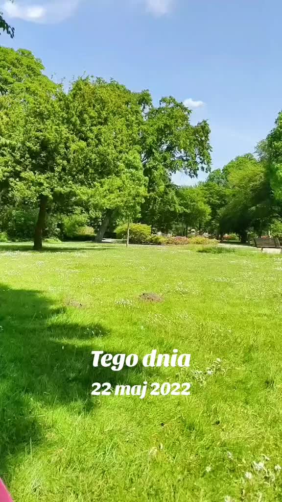 @ewcia❤