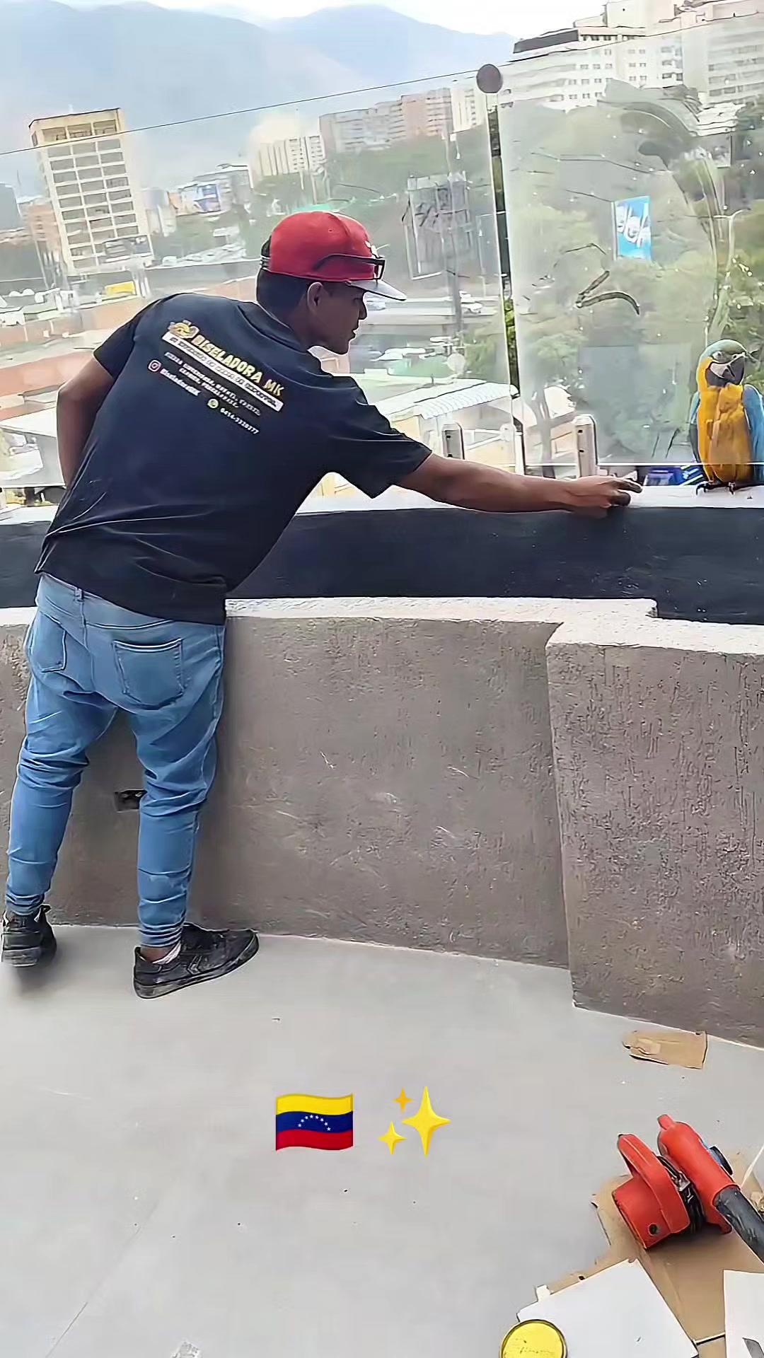 @BiseladoraMK