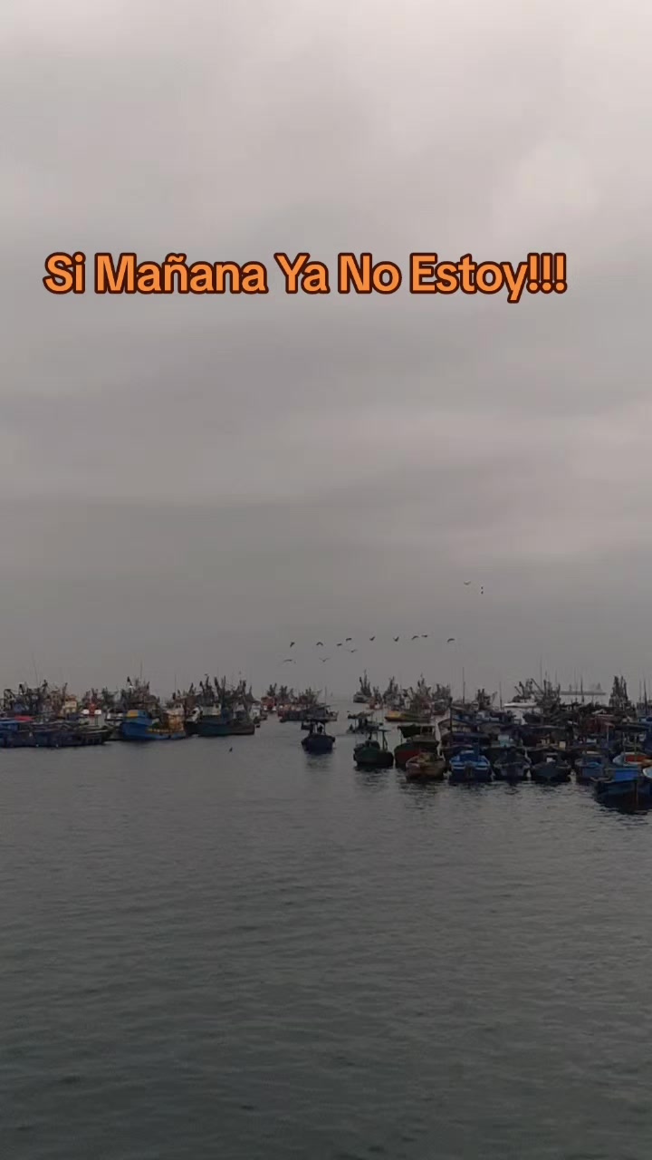 @Yanny 2026....te Sigue!!!