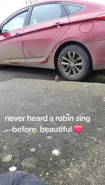 @Irish_nev