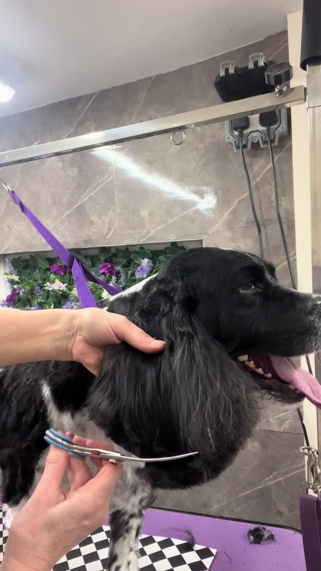 @Poochiepoosdoggrooming