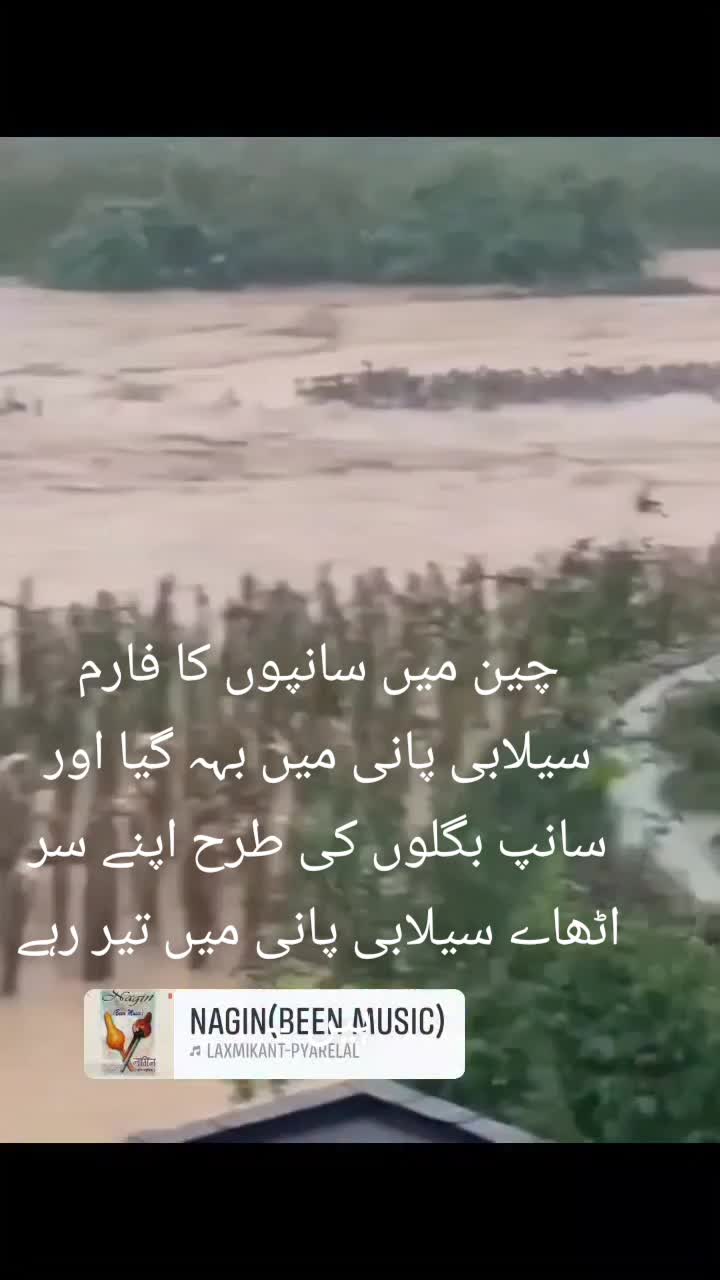 @bodagayi445