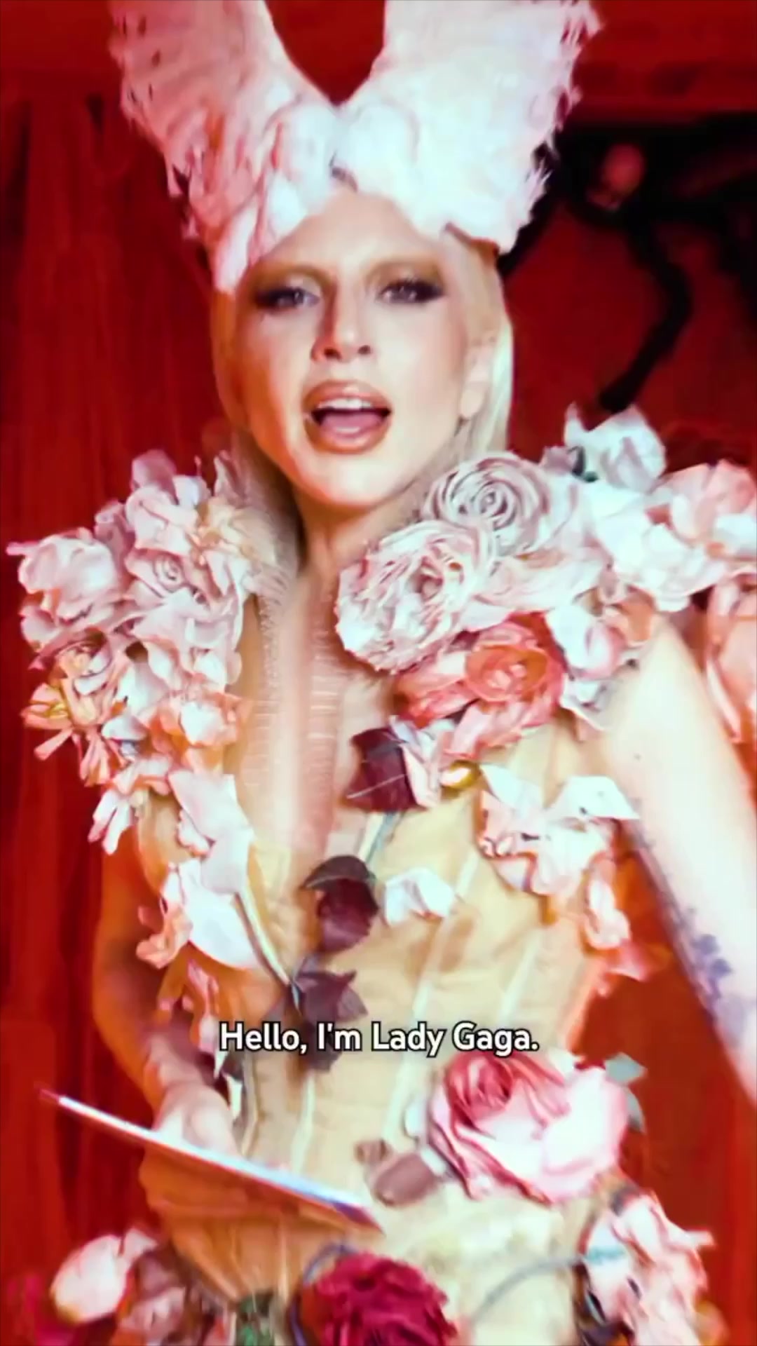 @ladygagabox