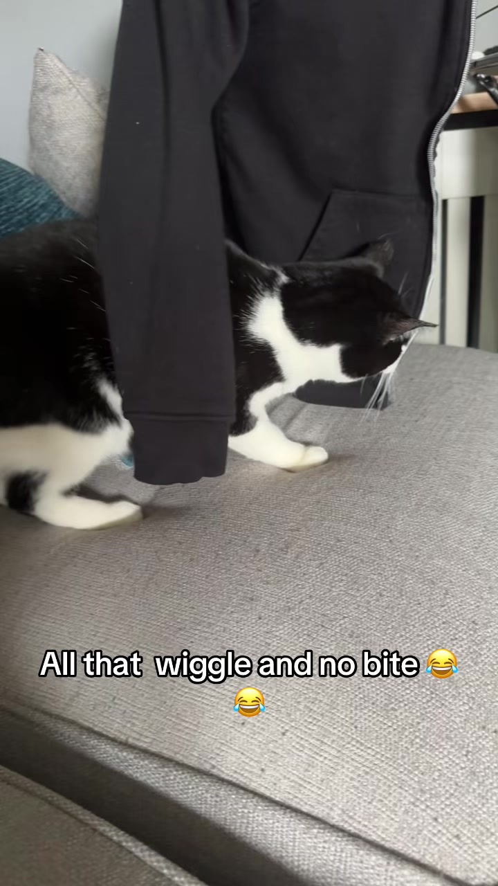 @Paigeyy