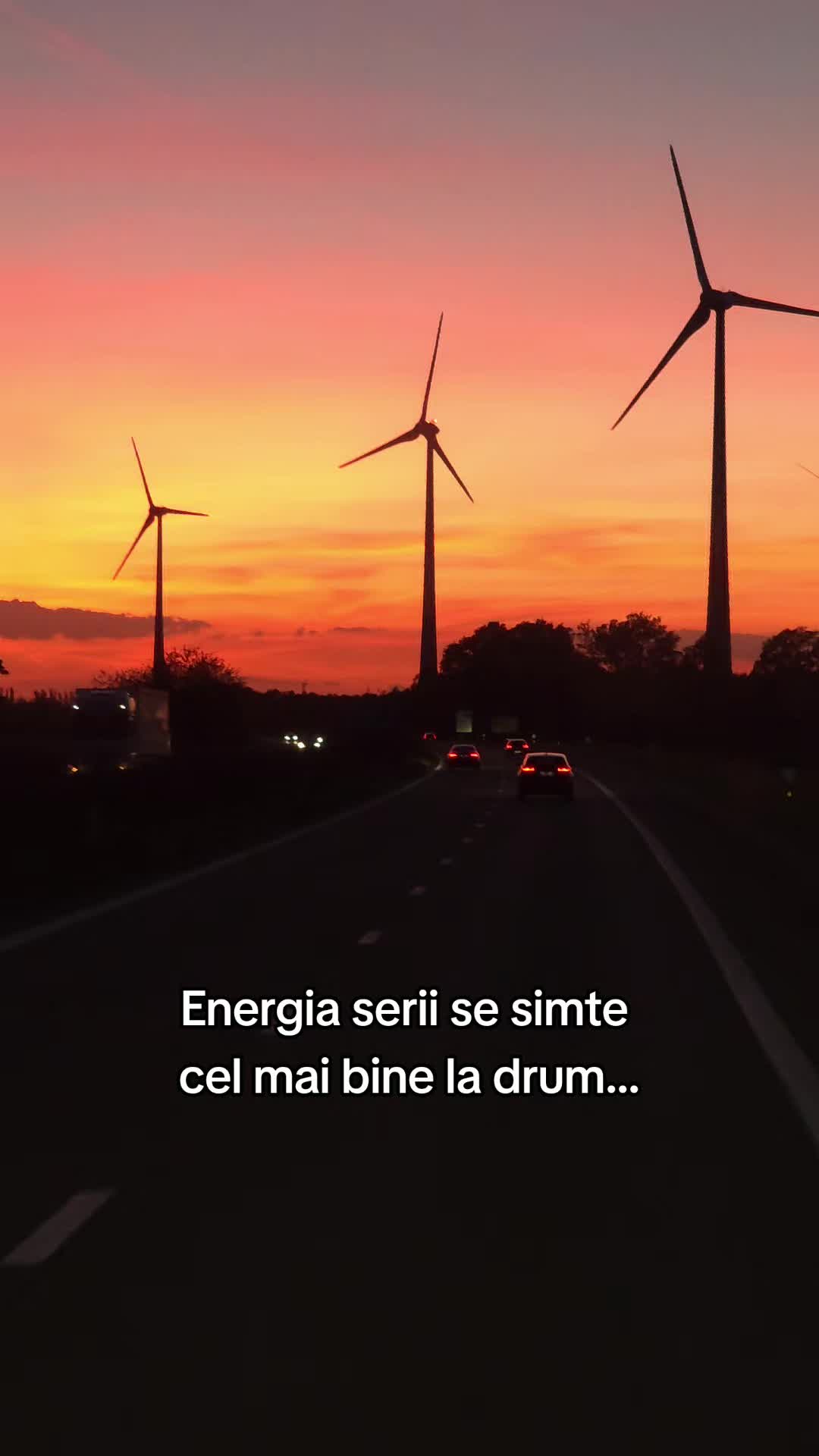 @🐦🔥Florin Patru🐦🔥